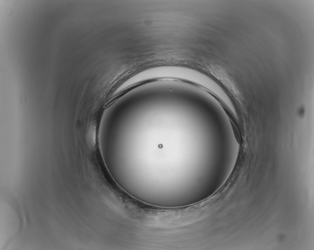 X0000095540021200712211357