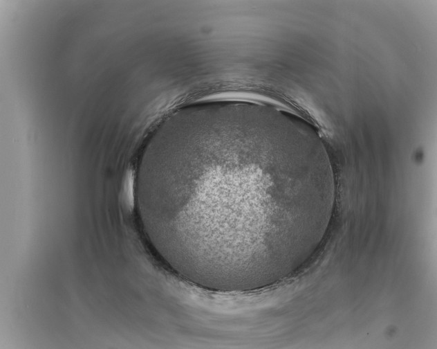 X0000095540022200712211357