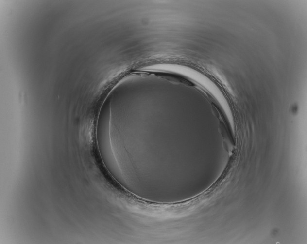 X0000095540023200712211357