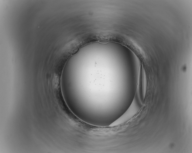 X0000095540025200712211357