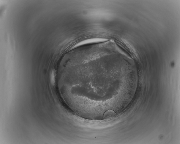 X0000095540026200712211357