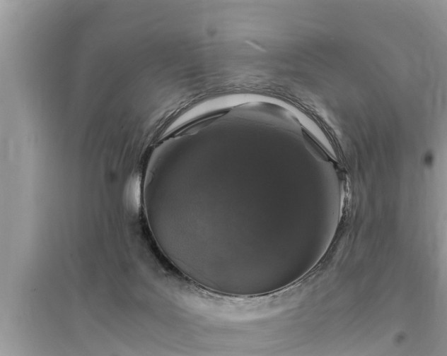 X0000095540027200712211357