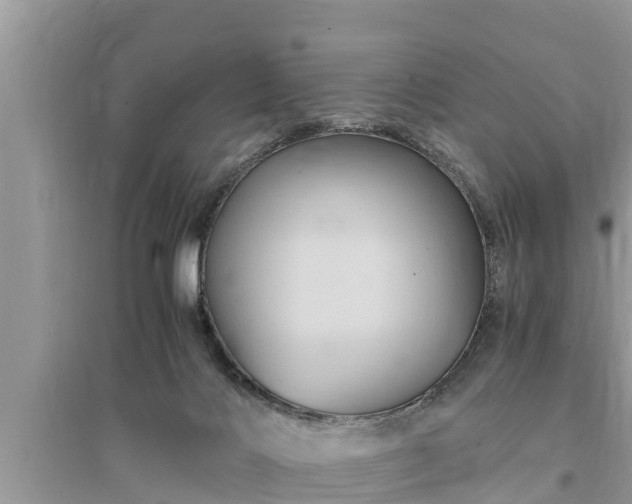 X0000095540028200712211357