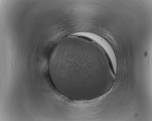 X0000095540029200712211357