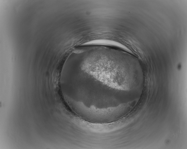 X0000095540030200712211357