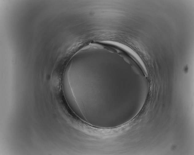 X0000095540031200712211357