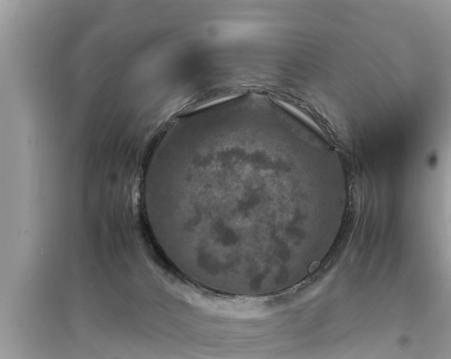 X0000095540032200712211357