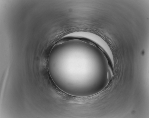 X0000095540033200712211357