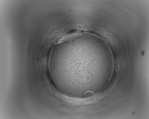 X0000095540034200712211357