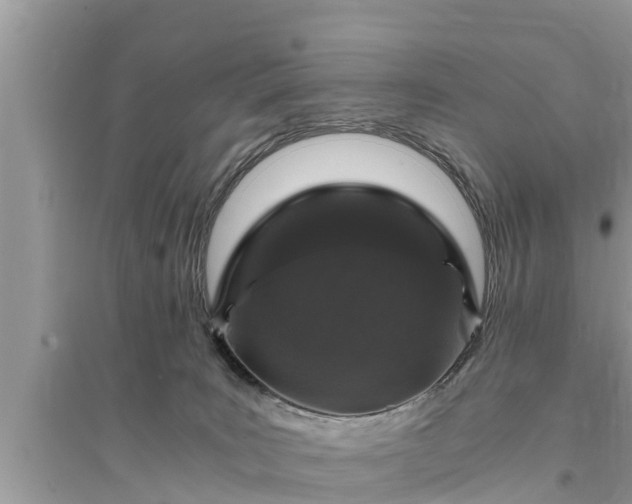 X0000095540035200712211357