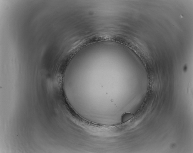 X0000095540036200712211357