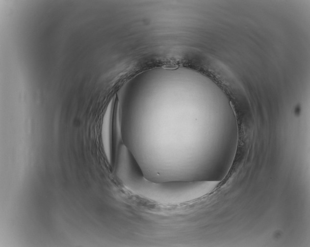 X0000095540037200712211357