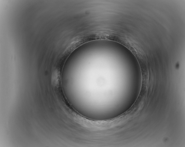 X0000095540038200712211357