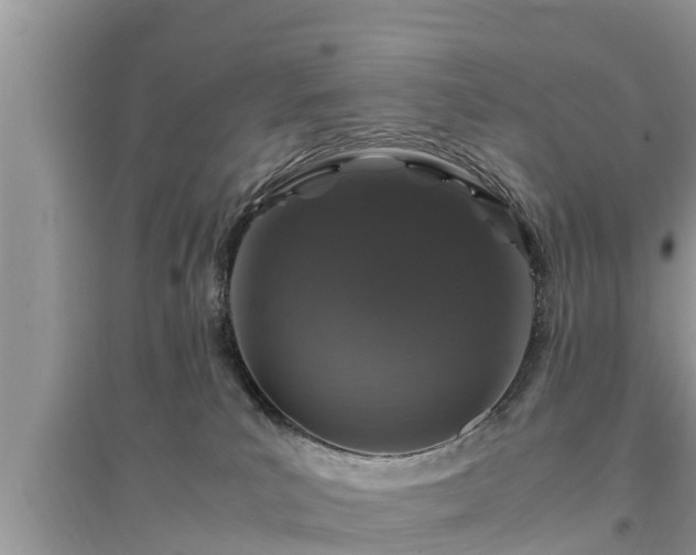 X0000095540039200712211357