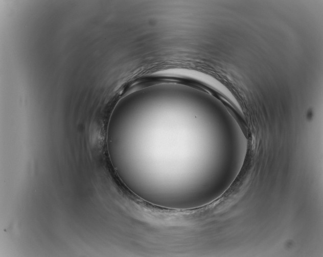 X0000095540040200712211357