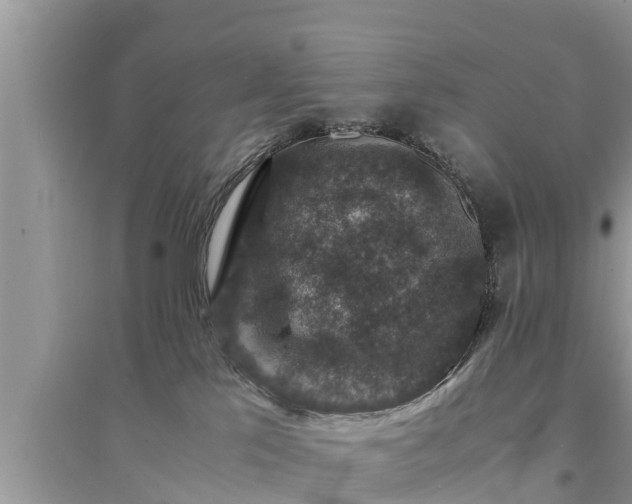 X0000095540041200712211357