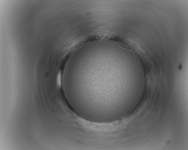 X0000095540042200712211357