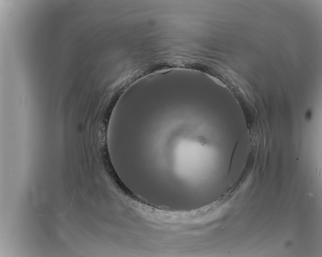 X0000095540043200712211357