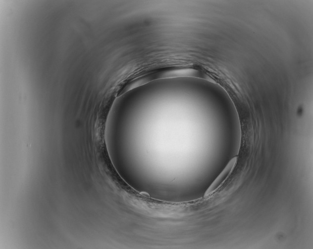 X0000095540044200712211357