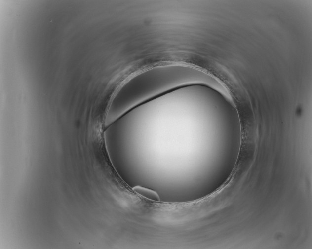 X0000095540045200712211357