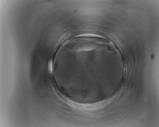 X0000095540046200712211357