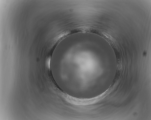 X0000095540047200712211357