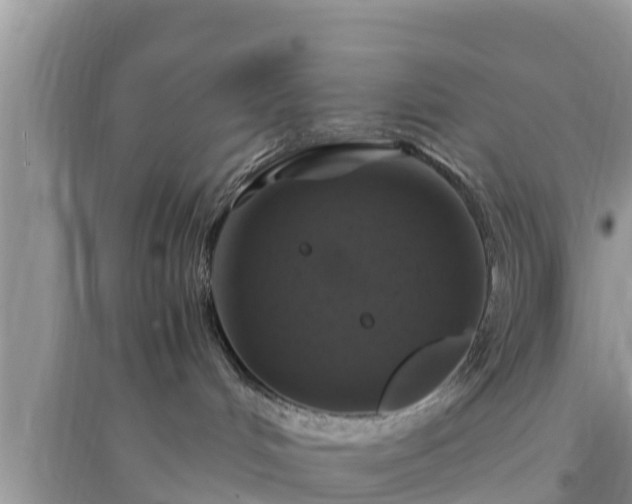 X0000095540048200712211357