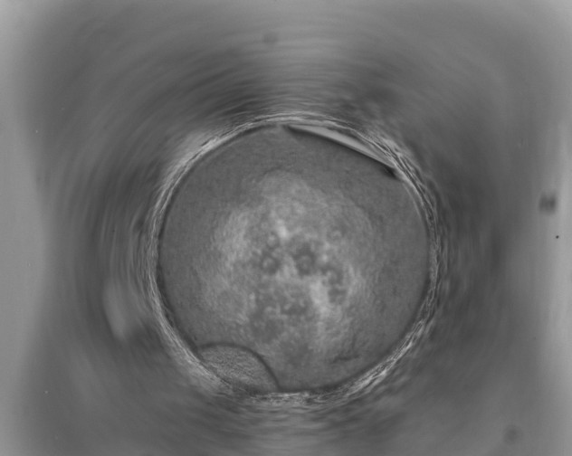 X0000095540049200712211356