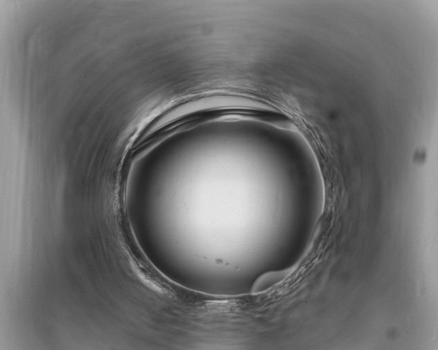 X0000095540050200712211356