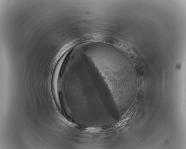 X0000095540051200712211356