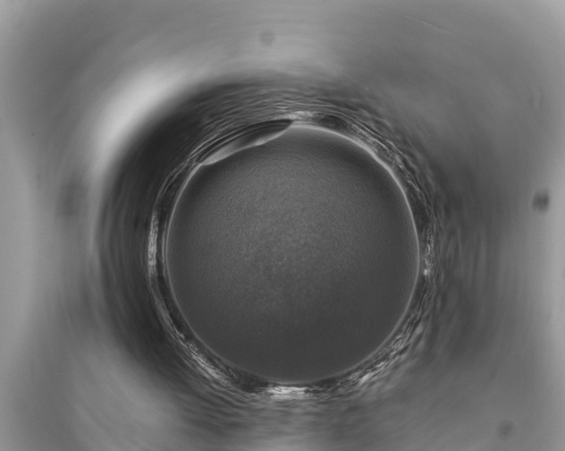 X0000095540052200712211356