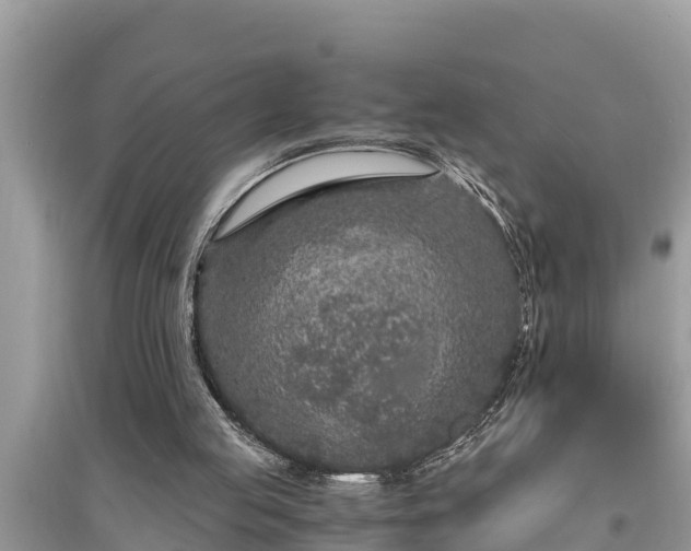 X0000095540053200712211356