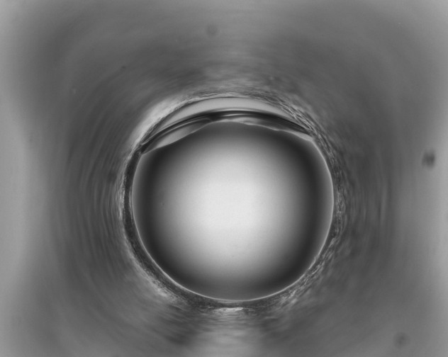 X0000095540054200712211356