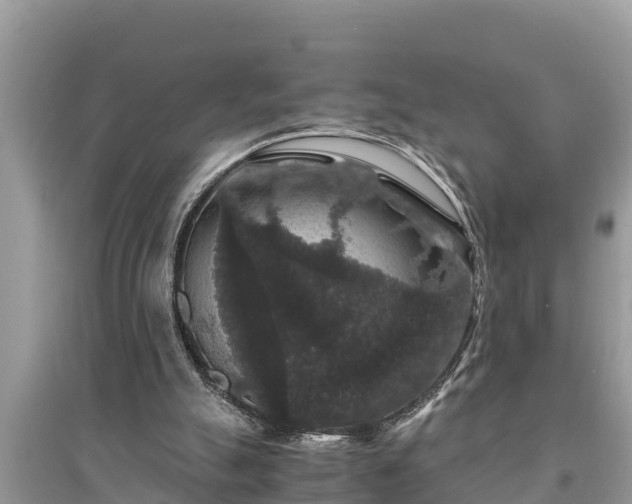 X0000095540055200712211356