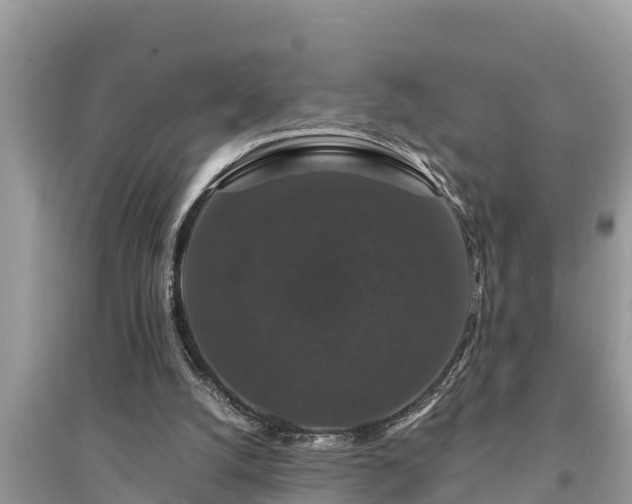 X0000095540056200712211356