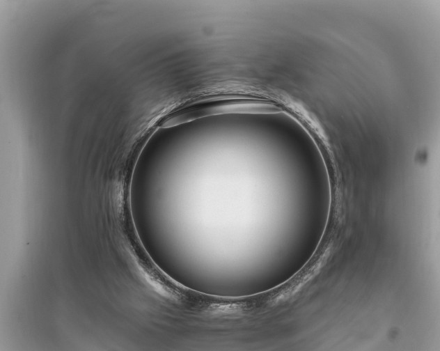 X0000095540057200712211356