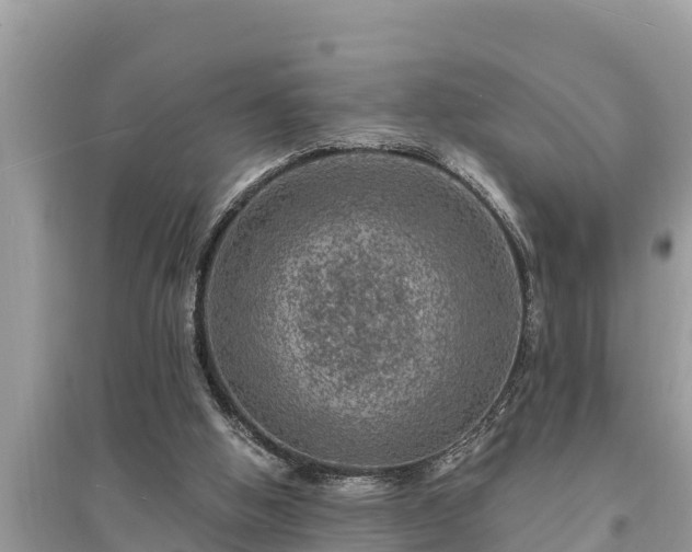 X0000095540058200712211356