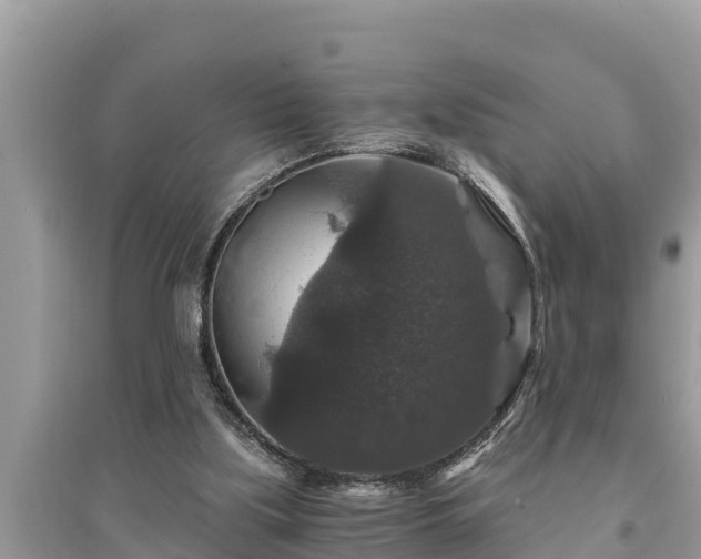 X0000095540059200712211356