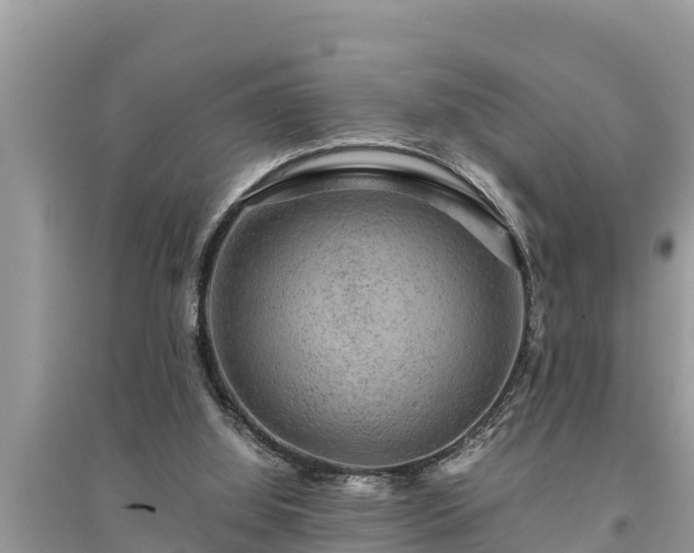 X0000095540060200712211356