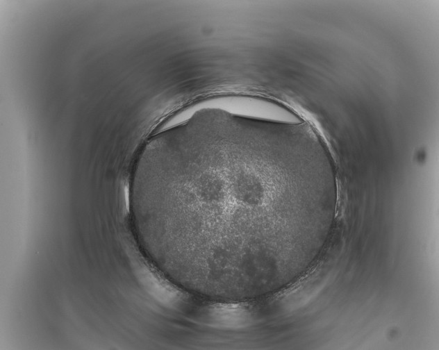 X0000095540061200712211356