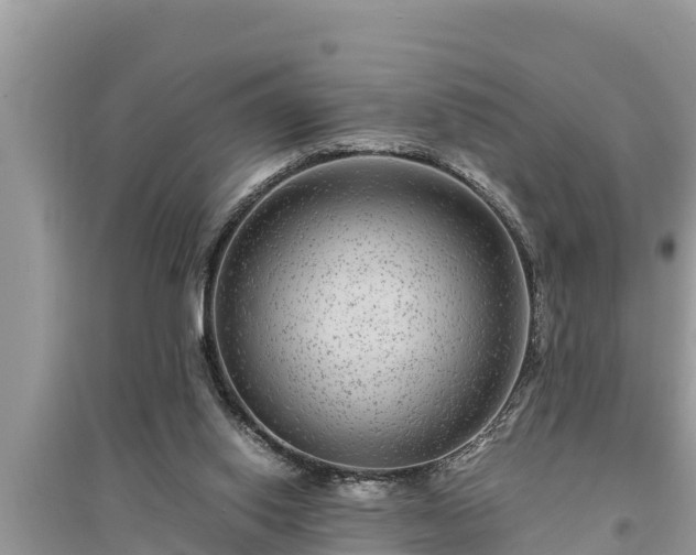 X0000095540062200712211356