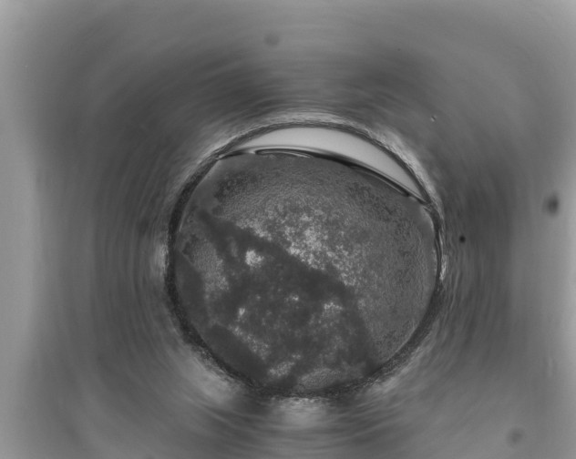 X0000095540063200712211356