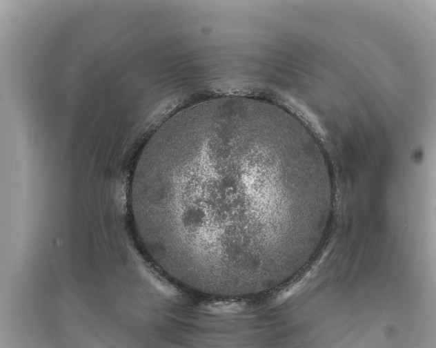 X0000095540065200712211357