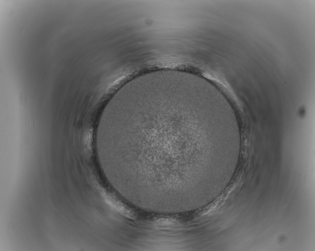 X0000095540066200712211357