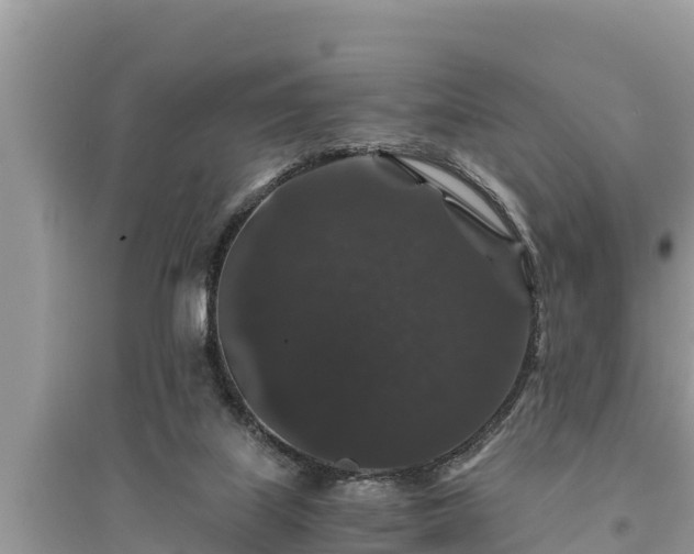 X0000095540067200712211357