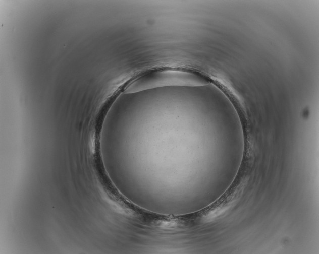 X0000095540068200712211357