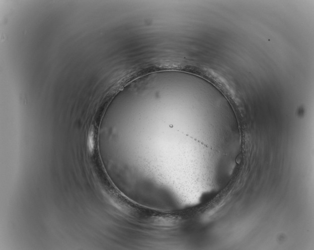 X0000095540069200712211357