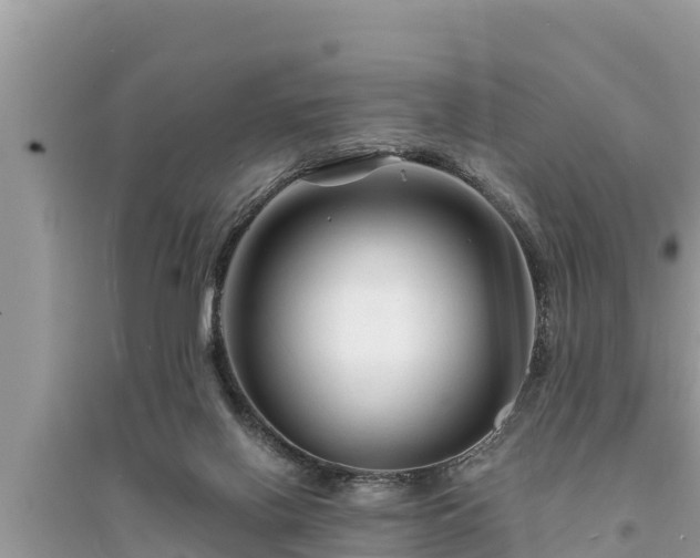 X0000095540070200712211357