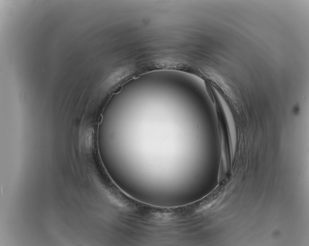 X0000095540071200712211357