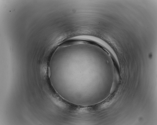 X0000095540072200712211357